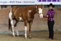 23-APHA SS_064